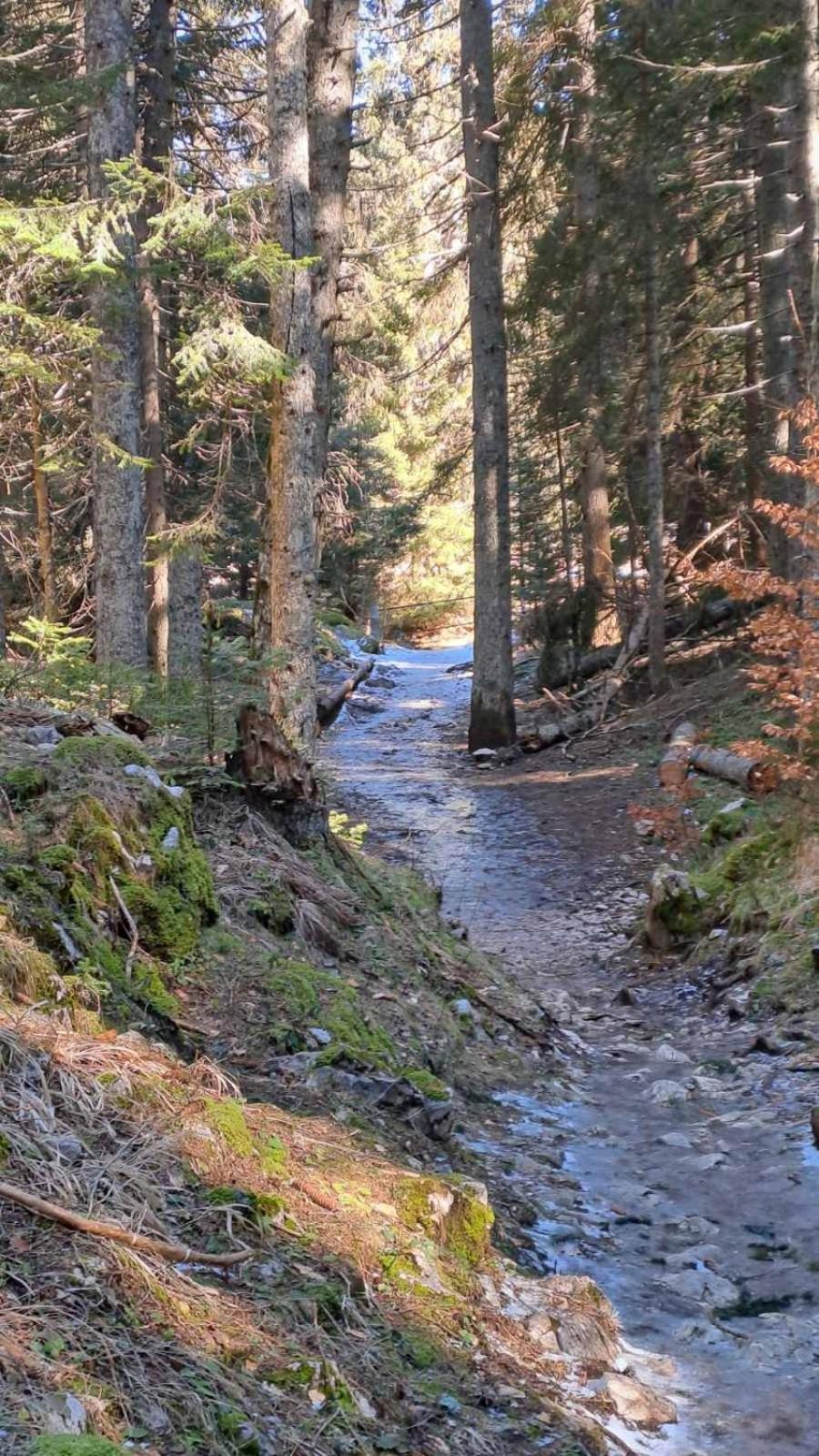 M&K Chalets Žabljak Esterno foto