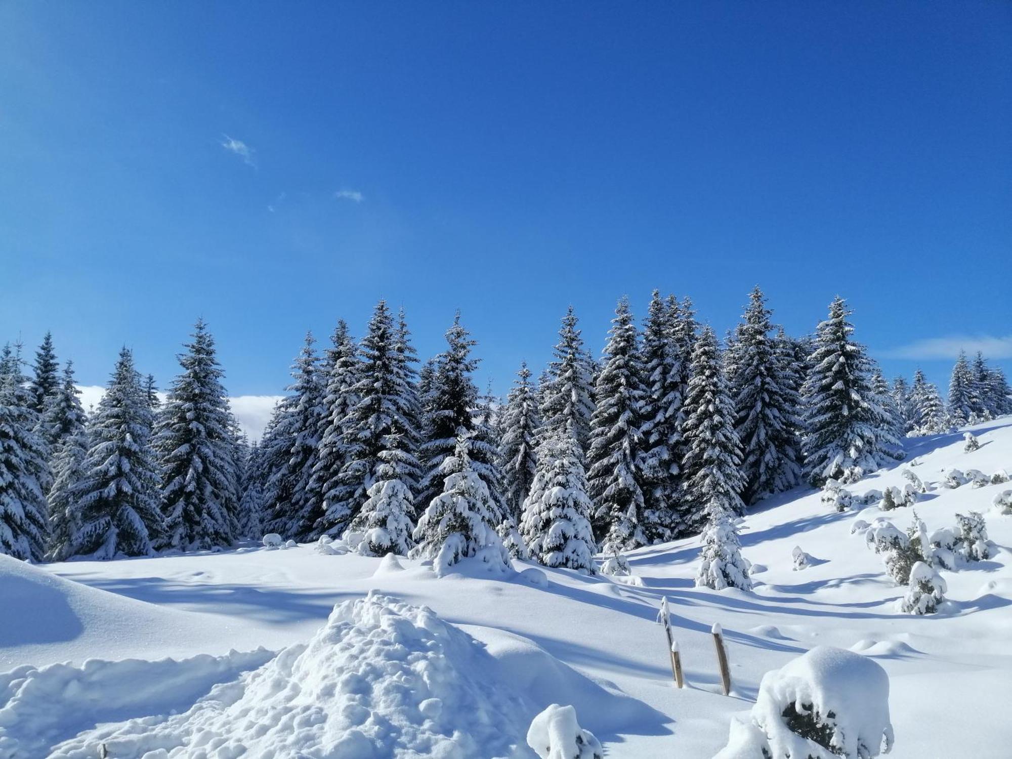 M&K Chalets Žabljak Esterno foto