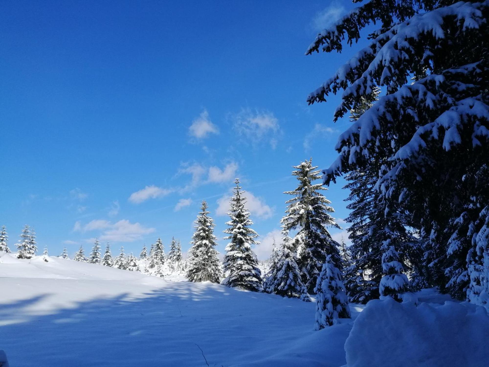 M&K Chalets Žabljak Esterno foto