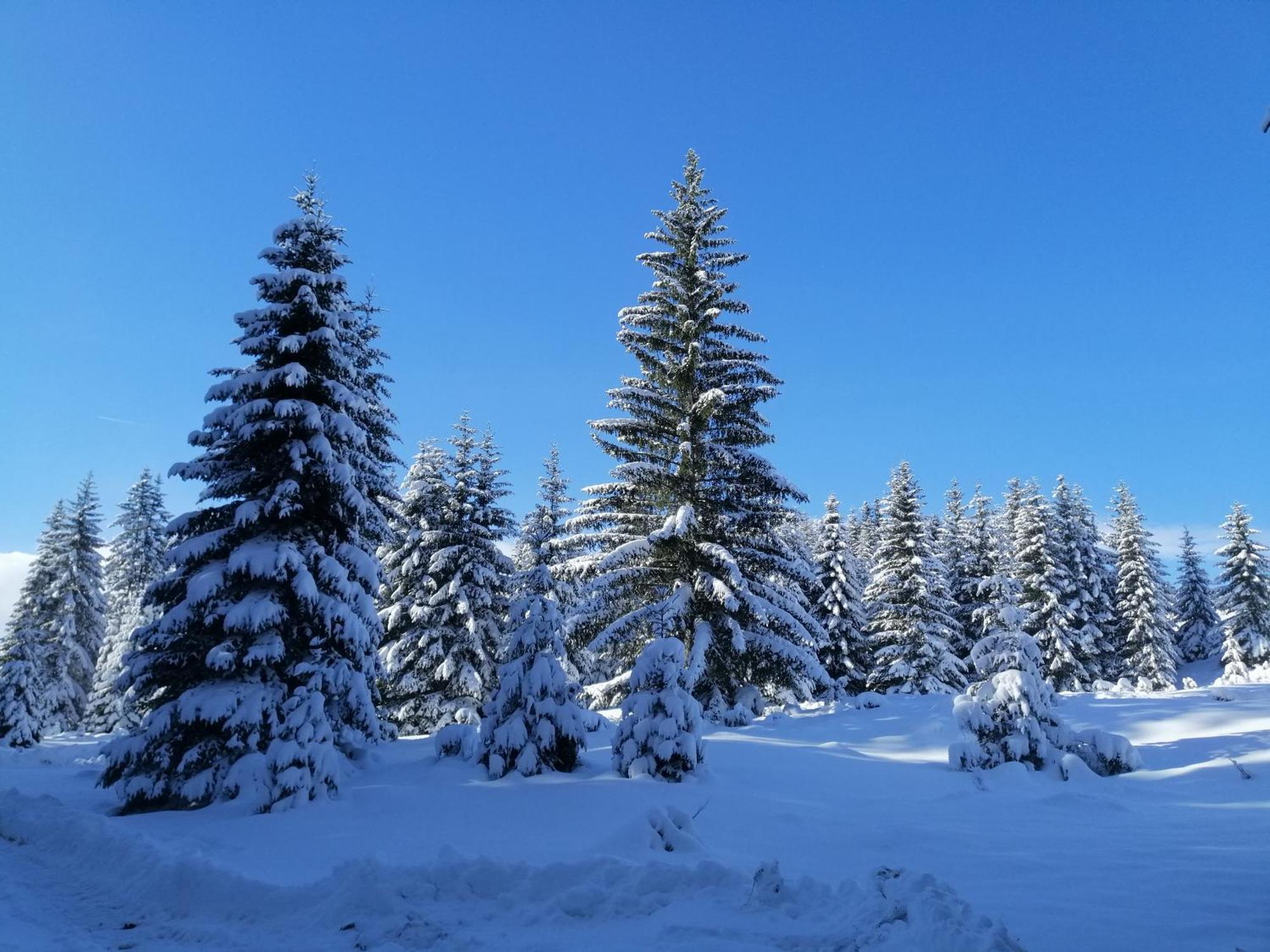 M&K Chalets Žabljak Esterno foto
