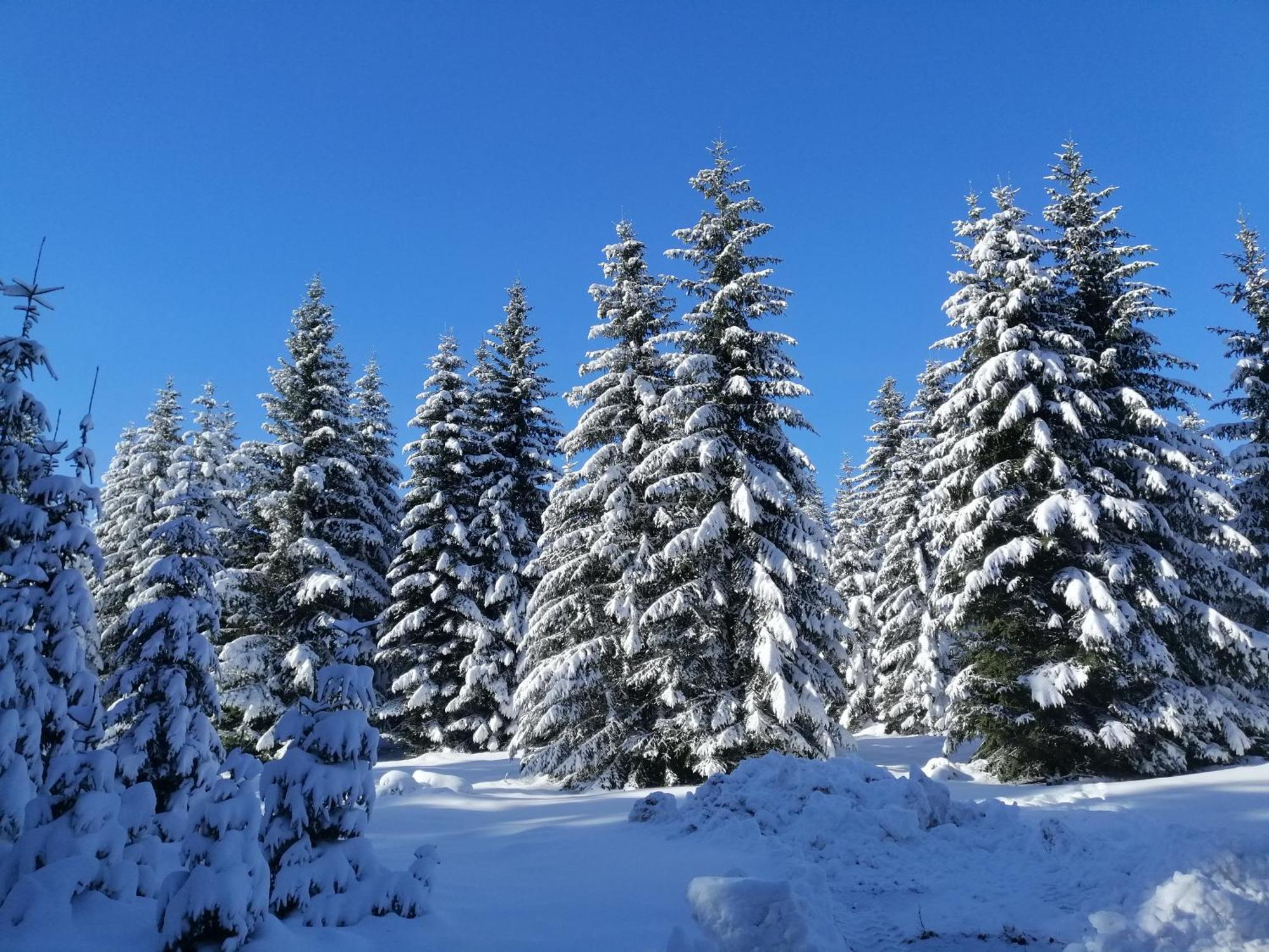 M&K Chalets Žabljak Esterno foto